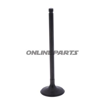 Intake Valve (Orig Spare Part)
