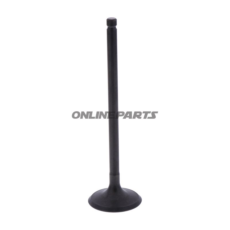 Intake Valve (Orig Spare Part)