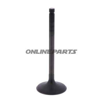 Intake Valve (Orig Spare Part)
