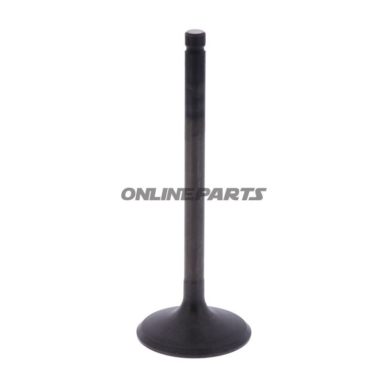 Intake Valve (Orig Spare Part)