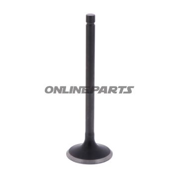 Outlet Valve (Orig Spare Part)
