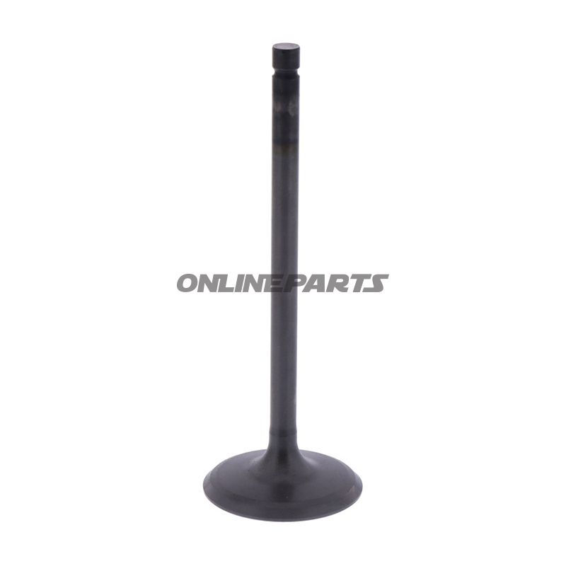 Intake Valve (Orig Spare Part)