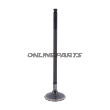 Outlet Valve (Orig Spare Part)