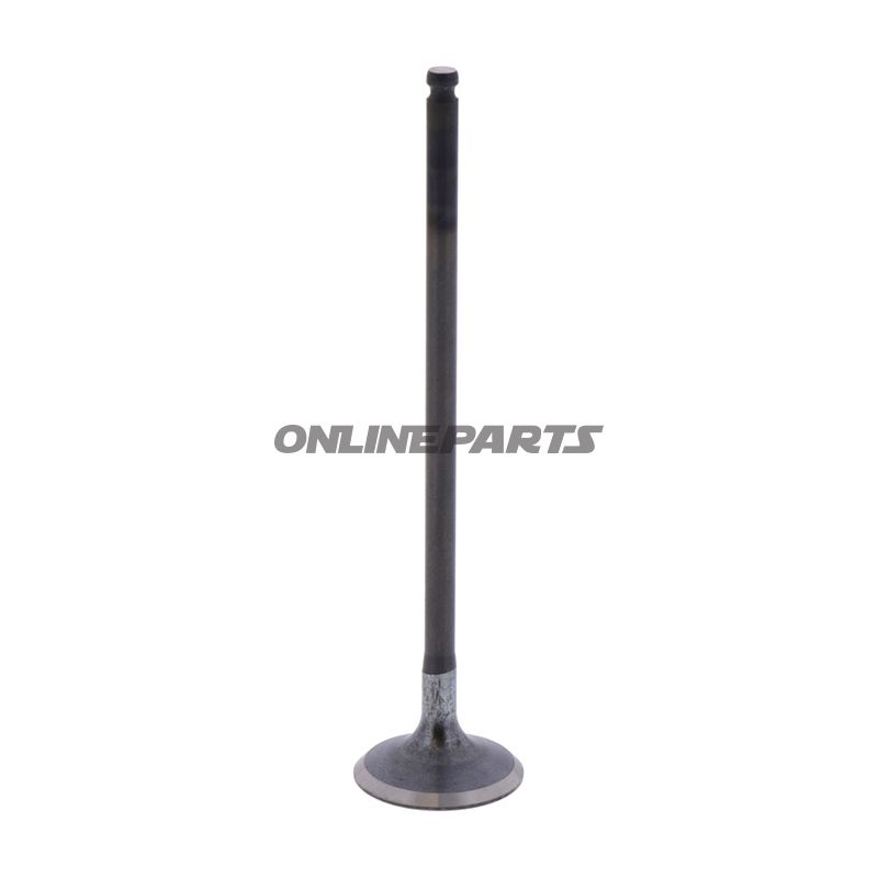 Outlet Valve (Orig Spare Part)