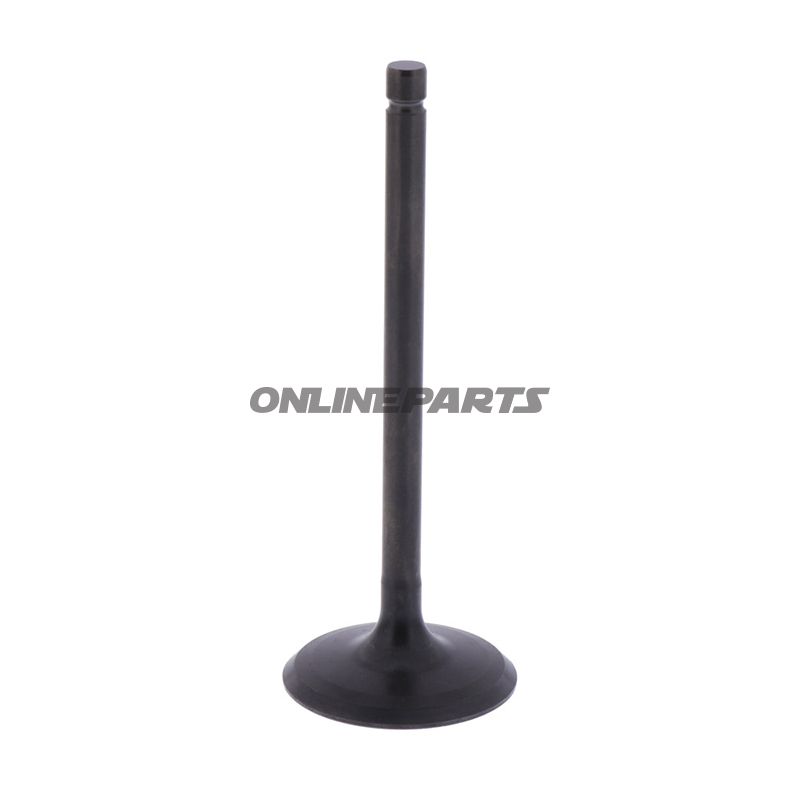 Intake Valve (Orig Spare Part)