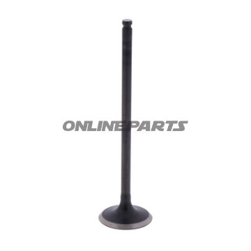 Outlet Valve (Orig Spare Part)
