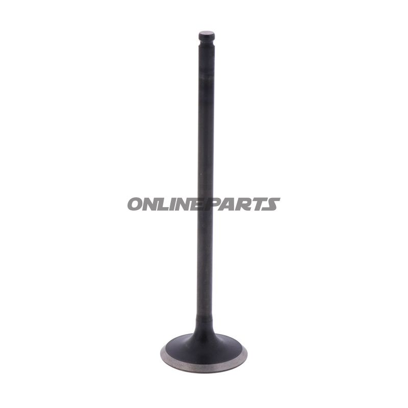 Outlet Valve (Orig Spare Part)