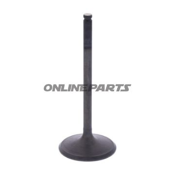 Intake Valve (Orig Spare Part)