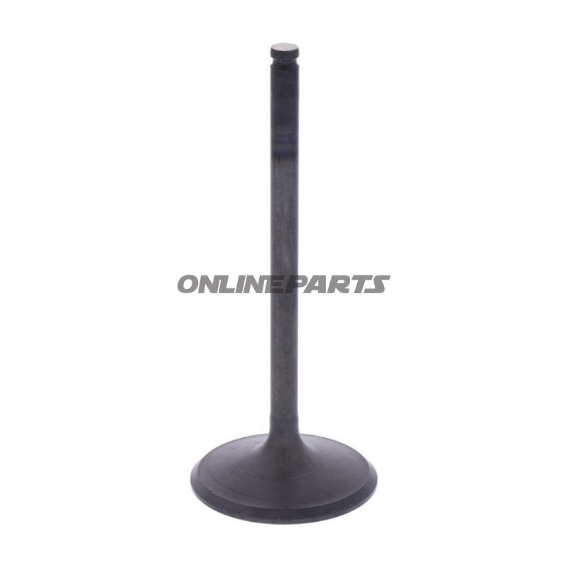 Intake Valve (Orig Spare Part)