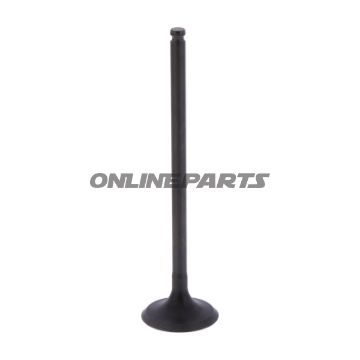 Intake Valve 1 (Orig Spare Part)