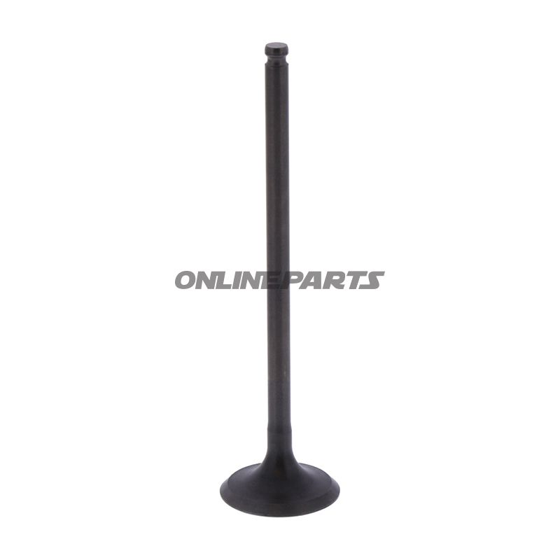 Intake Valve 1 (Orig Spare Part)