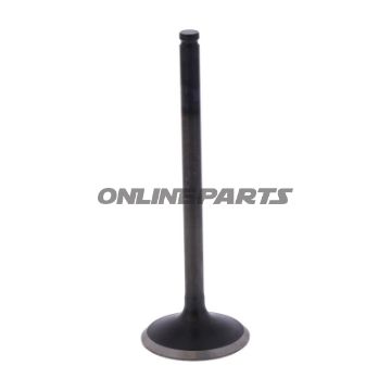 Outlet Valve (Orig Spare Part)