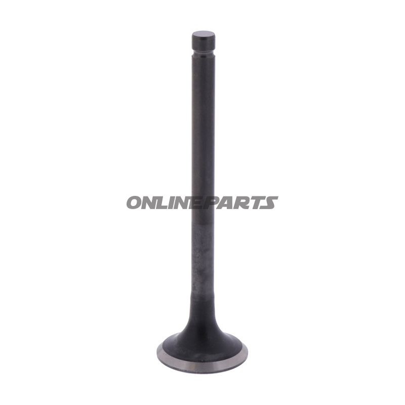 Outlet Valve (Orig Spare Part)