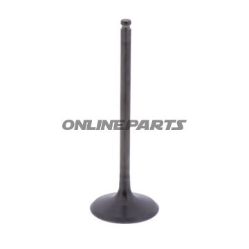 Intake Valve (Orig Spare Part)