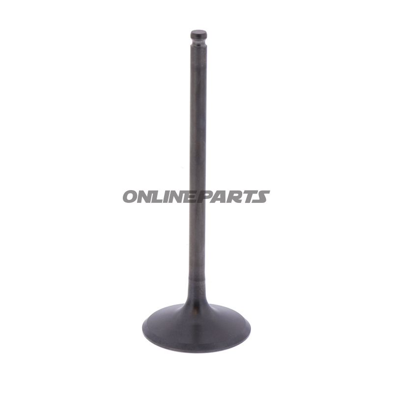 Intake Valve (Orig Spare Part)
