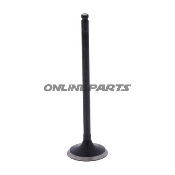 Outlet Valve (Orig Spare Part)