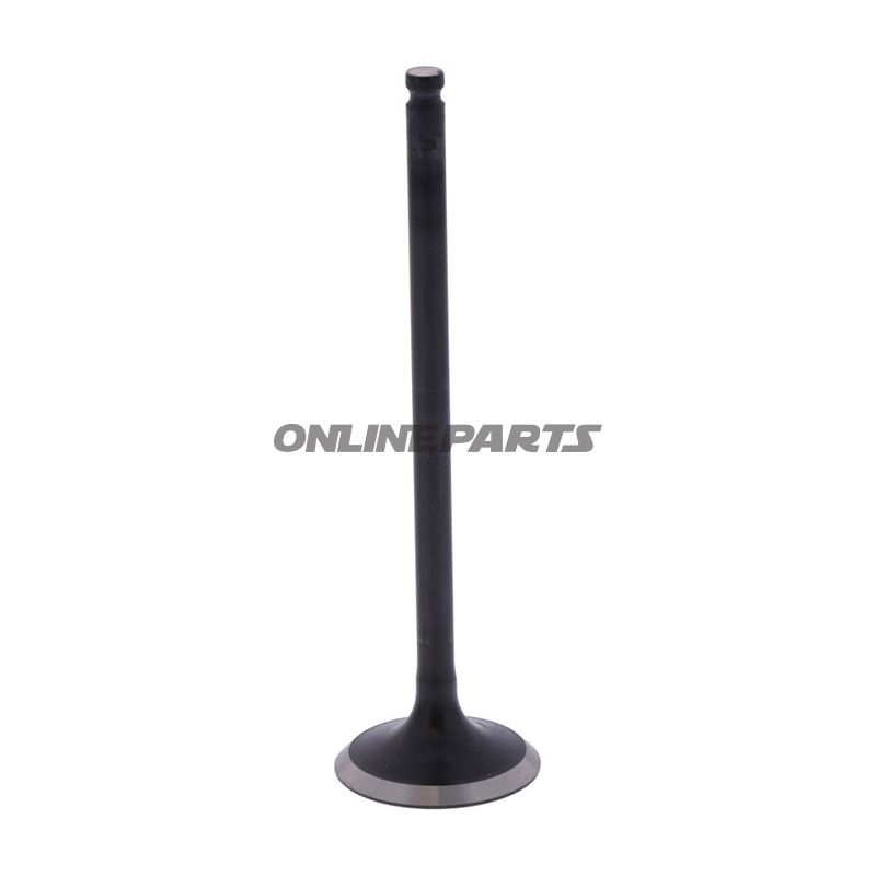 Outlet Valve (Orig Spare Part)