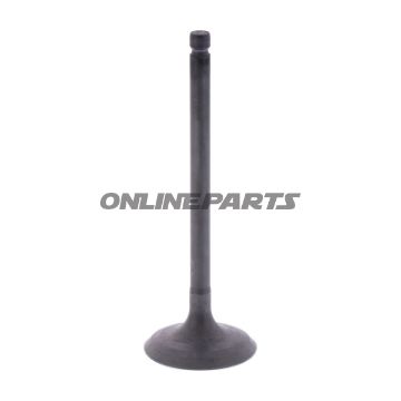 Intake Valve (Orig Spare Part)
