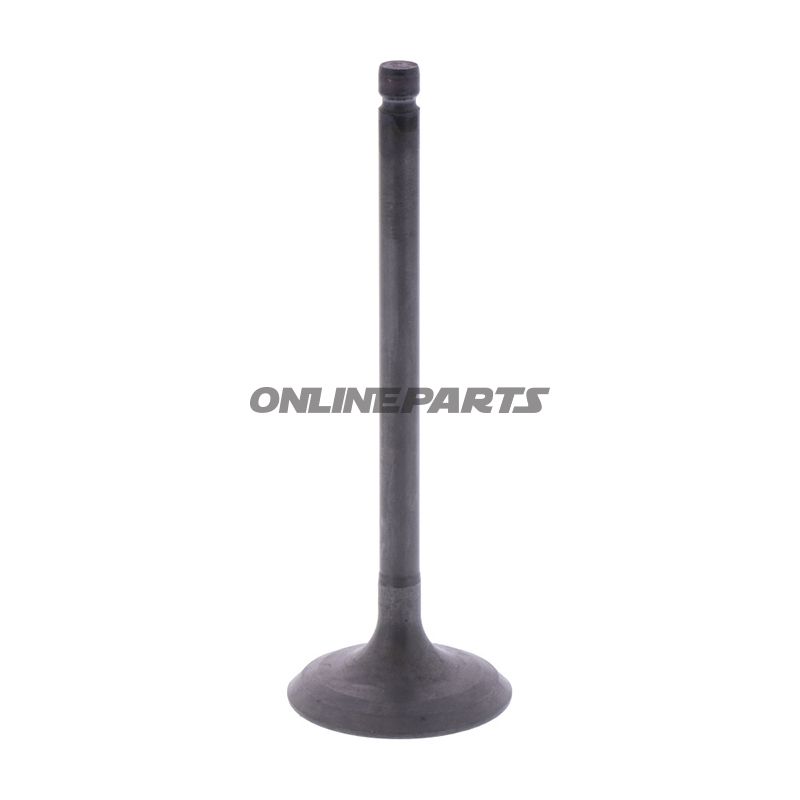 Intake Valve (Orig Spare Part)