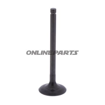 Intake Valve (Orig Spare Part)