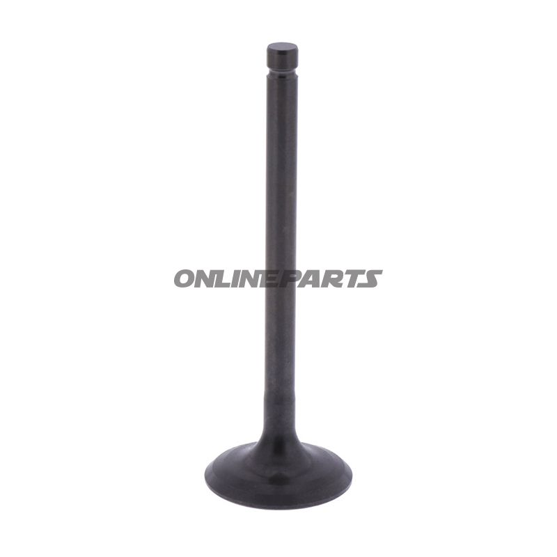 Intake Valve (Orig Spare Part)