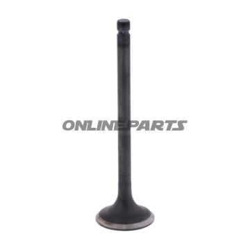 Outlet Valve (Orig Spare Part)