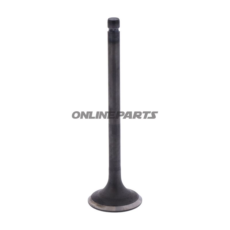 Outlet Valve (Orig Spare Part)