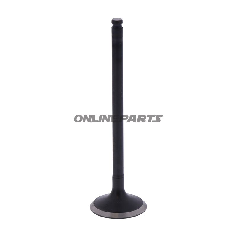 Outlet Valve (Orig Spare Part)