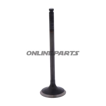 Outlet Valve (Orig Spare Part)