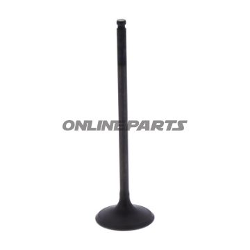 Intake Valve (Orig Spare Part)