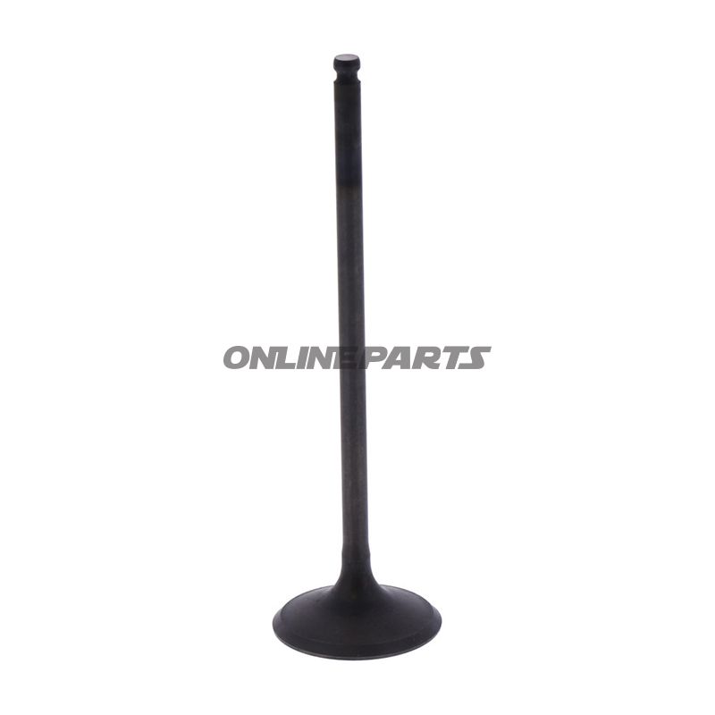 Intake Valve (Orig Spare Part)