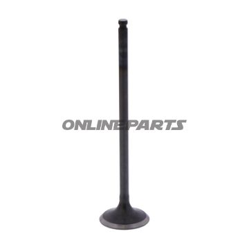 Outlet Valve (Orig Spare Part)