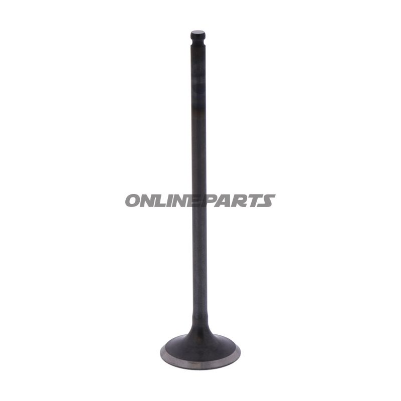 Outlet Valve (Orig Spare Part)