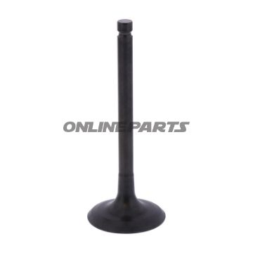 Intake Valve (Orig Spare Part)