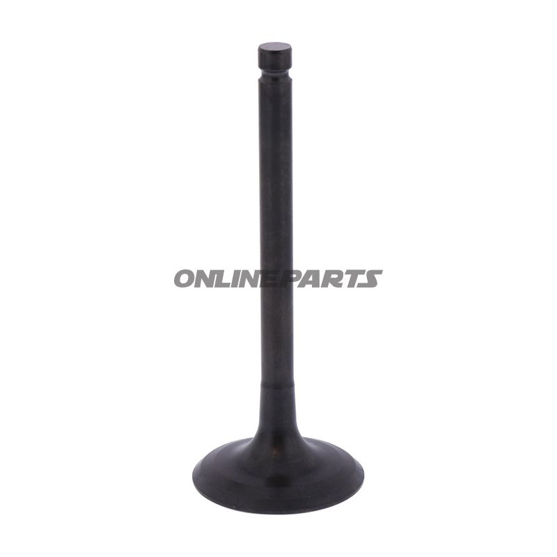 Intake Valve (Orig Spare Part)