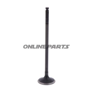 Outlet Valve (Orig Spare Part)