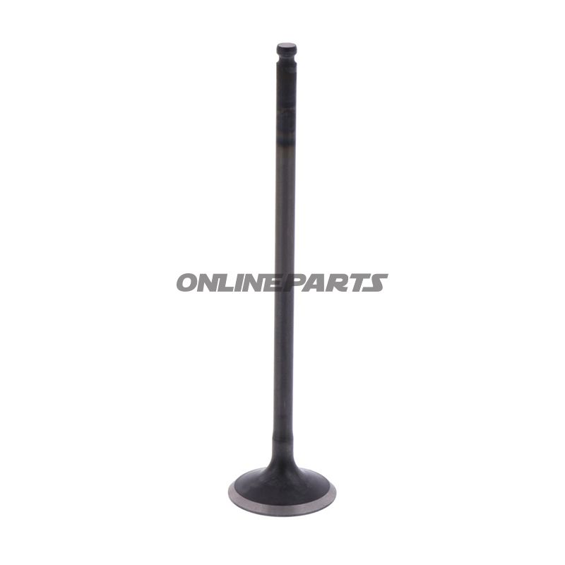Outlet Valve (Orig Spare Part)