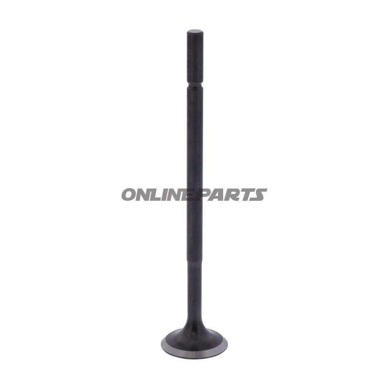 Intake Valve 2 (Orig Spare Part)