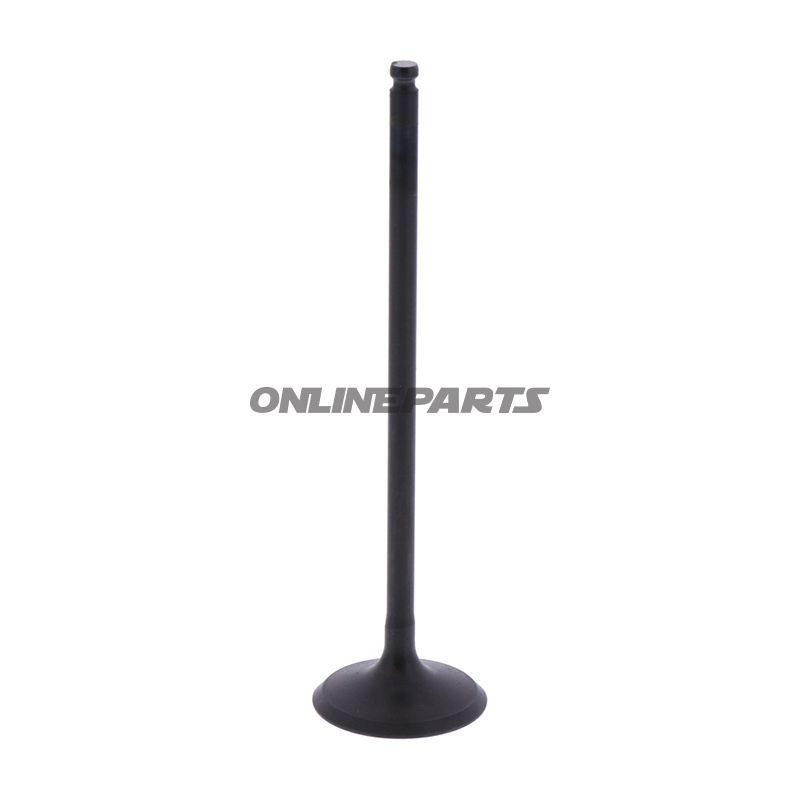 Intake Valve (Orig Spare Part)