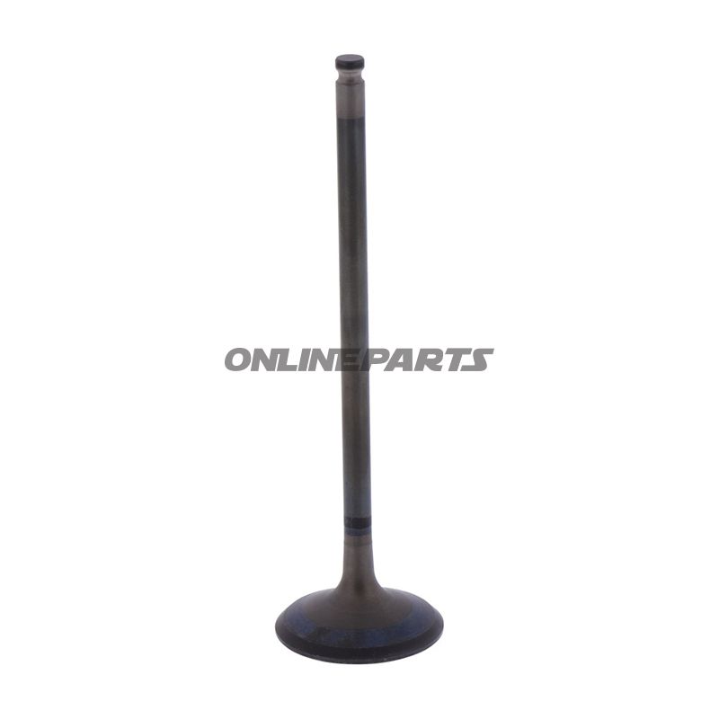 Intake Valve (Orig Spare Part)