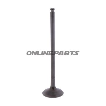 Outlet Valve (Orig Spare Part)