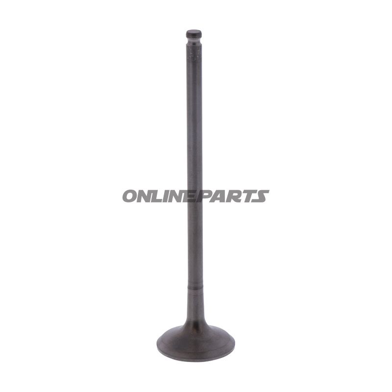 Outlet Valve (Orig Spare Part)