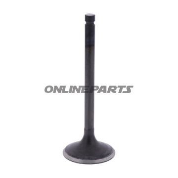 Intake Valve (Orig Spare Part)