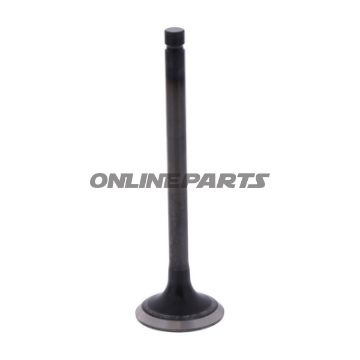 Outlet Valve (Orig Spare Part)
