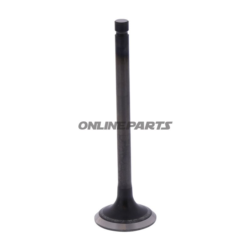 Outlet Valve (Orig Spare Part)