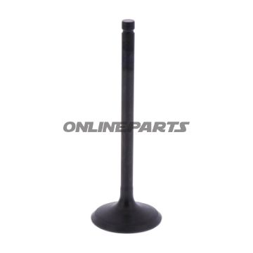 Intake Valve (Orig Spare Part)
