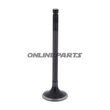 Outlet Valve (Orig Spare Part)