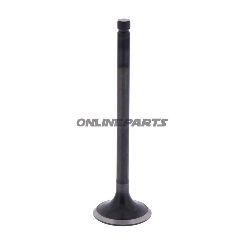 Outlet Valve (Orig Spare Part)