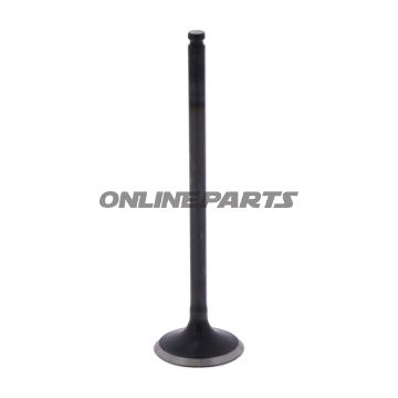 Outlet Valve (Orig Spare Part)