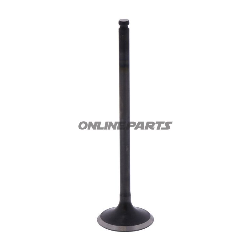 Outlet Valve (Orig Spare Part)